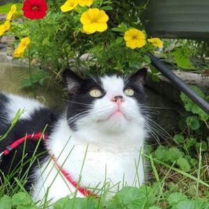 Meet your Posher, Michaela